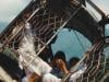 'Hanging by a Wire' selected as Pakistan's first documentary Oscar submission