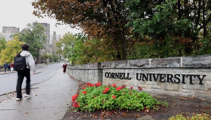 ‘We are going to fight': Cornell students demand accountability over sexual assault allegations