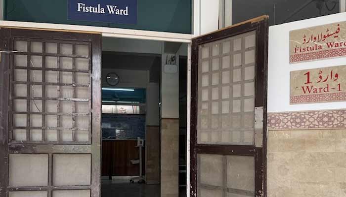 Fistula Ward at Kooh Goth Hospital, where cats are allowed to roam free. — Author