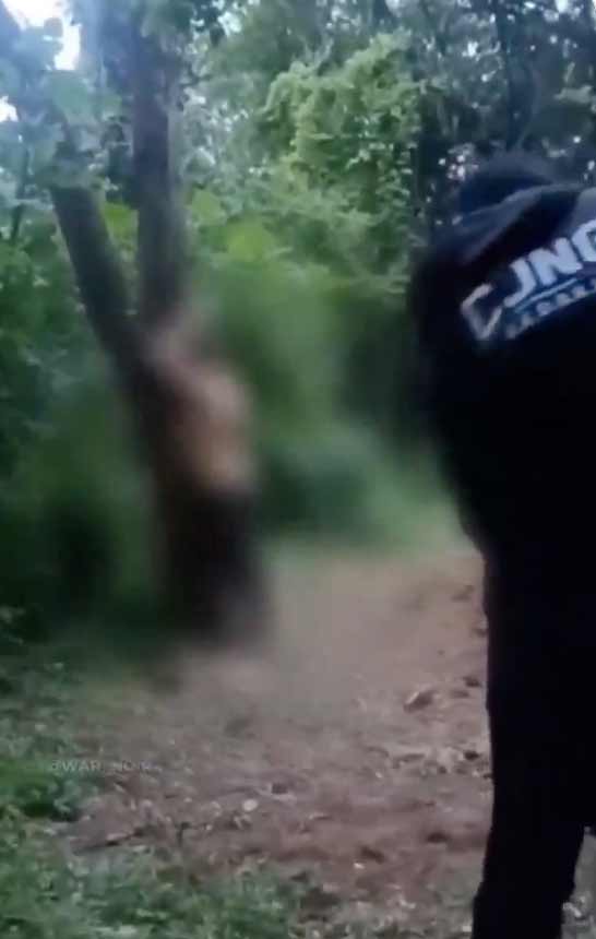 The man carrying a gun has “CJNG” written on his uniform, indicating his affiliation with the Mexican cartel