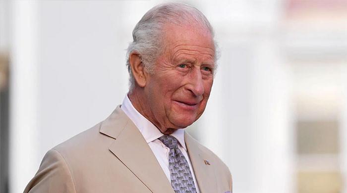 King Charles makes poignant move for Diana's 30th anniversary with William and Harry in focus