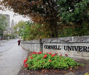 Cornell faces student backlash over handling of sexual assault allegations
