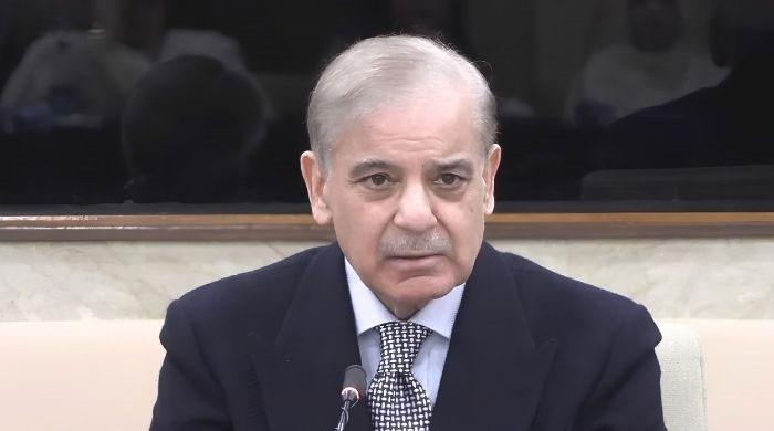 Govt was left with no option but to impose governor's rule in KP: PM Shehbaz 