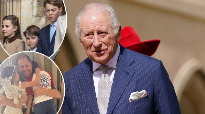 King Charles makes delightful gesture for grandchildren: ‘That was special'