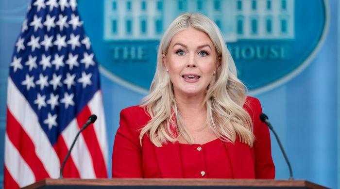 Karoline Leavitt joins Fox News weeks after leaving White House to spend time with family