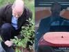 Prince William discovers simple frost-busting trick for better crops