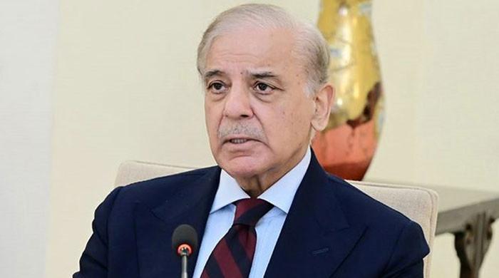 PM approves duty-free livestock imports for specialised farms to boost exports