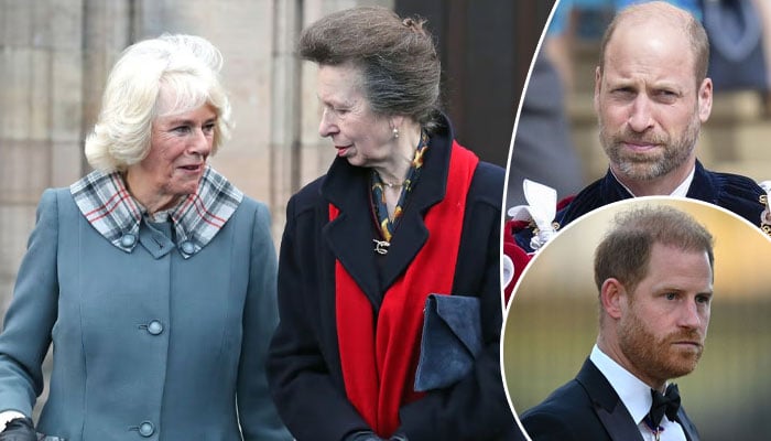 Queen Camilla, Princess Anne make surprise move to reunite William, Harry