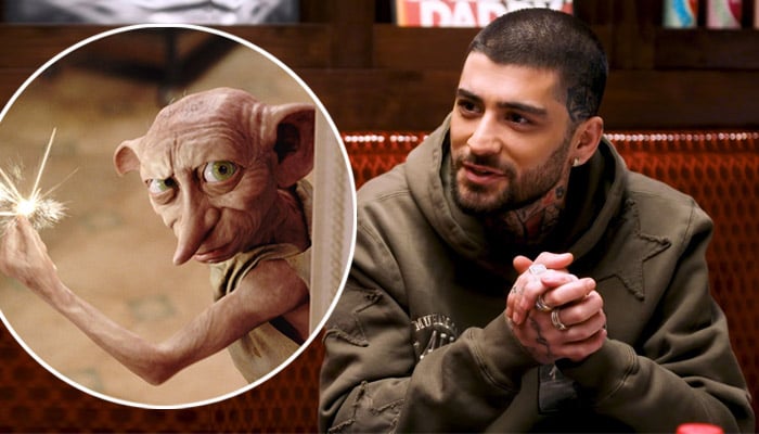 Zayn Malik gets adorable Harry Potter-themed gift from fan