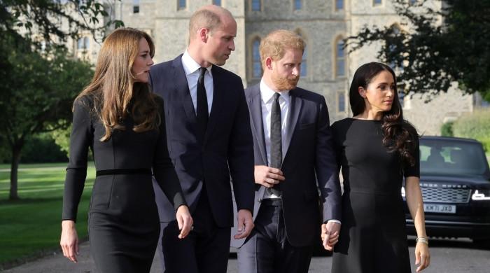 Prince Harry, Meghan admit 'taking things too far' with royal family