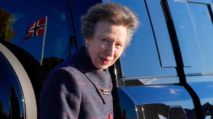 Princess Anne steps up with meaningful gesture after royal family heartbreak