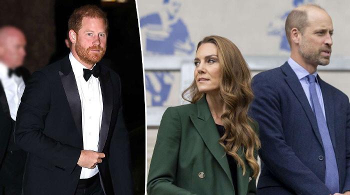 Princess Kate quietly ‘reconnects' with Prince Harry amid peace plans