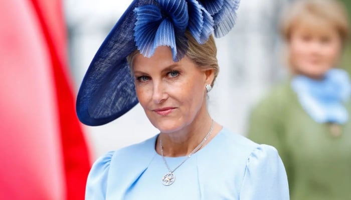 Buckingham Palace confirms Duchess Sophie key role in new announcement