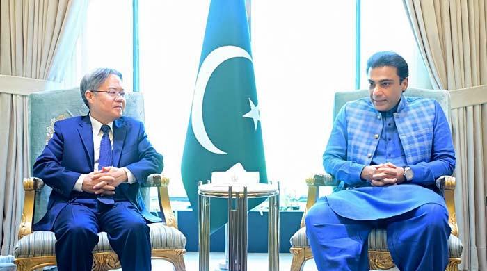 Hamza Shehbaz, Chinese ambassador discuss trade, investment and CPEC