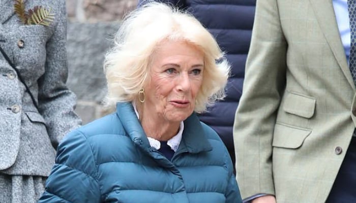Queen Camilla continues her mission with important Clarence House meetings