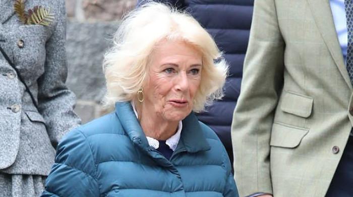 Queen Camilla continues her mission with important Clarence House meetings