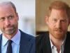 Prince William backs cause close to Harry's heart with personal message