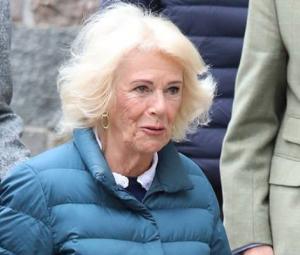 Queen Camilla continues her mission with important Clarence House meetings