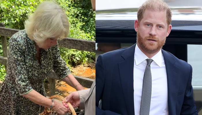 Royal family releases Queen Camillas emotional video after Harrys visit