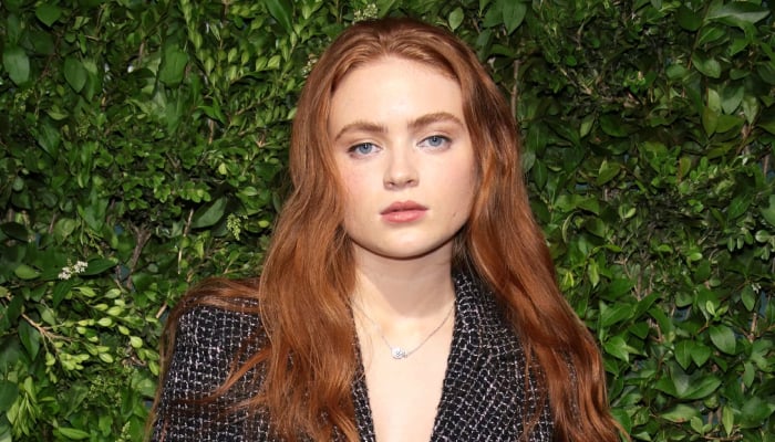 Sadie Sink eyes new role in Emma Clines The Guest movie adaptation
