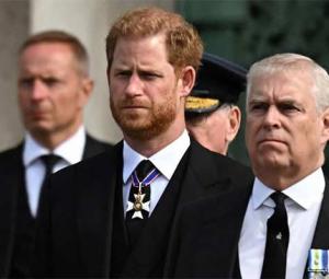 Harry forgiven, Andrew Forgotten? Royals accused of 'double standard'