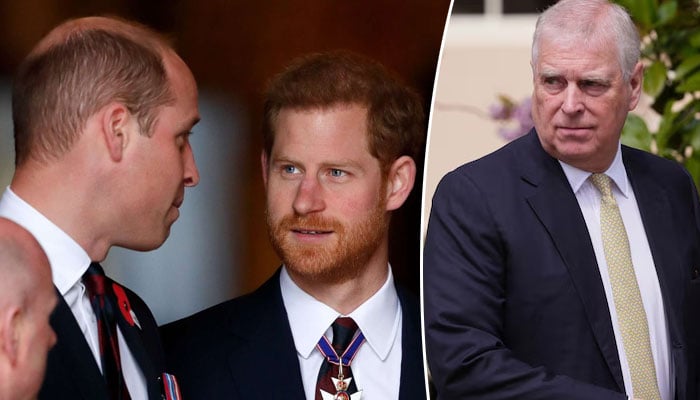 Princes Harry, William brought together by Andrew in comical circumstance