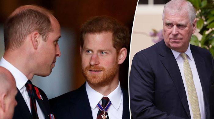 Princes Harry, William brought together by Andrew in comical circumstance