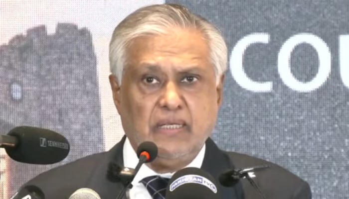 Deputy Prime Minister and Foreign Minister Ishaq Dar addresses a seminar in Islamabad, October 12, 2026. — Screengrab via YouTube/Geo News