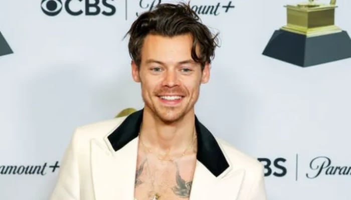 Inside Harry Styles, Haruki Murakamis surprising friendship
