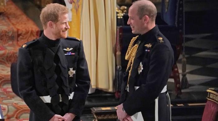 Prince Harry's efforts paid off as Prince William says yes
