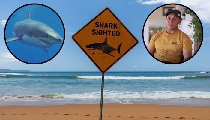 Shark attack survivor recalls shark winking at him before biting off his leg