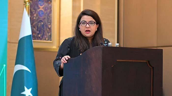 Satellite internet framework nearing completion in Pakistan to boost connectivity: minister