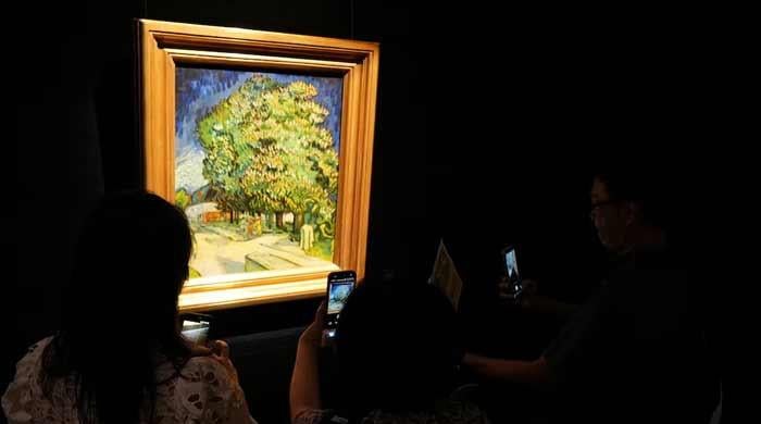 Hundreds queue in Hong Kong to glimpse Van Gogh painting unseen in public for 60 years