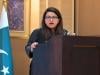 Satellite internet framework nearing completion in Pakistan to boost connectivity: minister