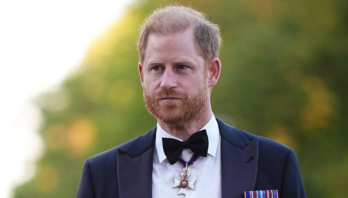 Prince Harry forced to take decisive step amid security verdict delay