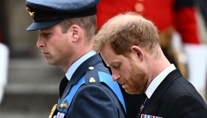 Prince William, Prince Harry back to square one after shocking verdict
