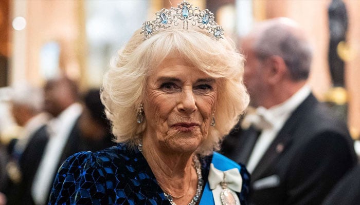 Queen Camilla makes proposal for unity as Harry-William talks ‘in works’