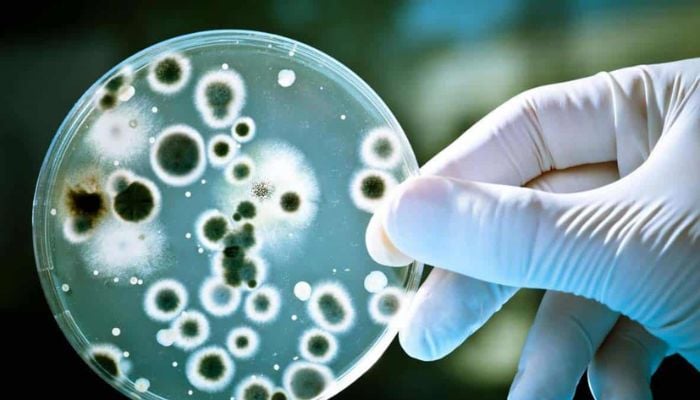 12 infections linked to 12% of new cancer cases worldwide: Here’s list