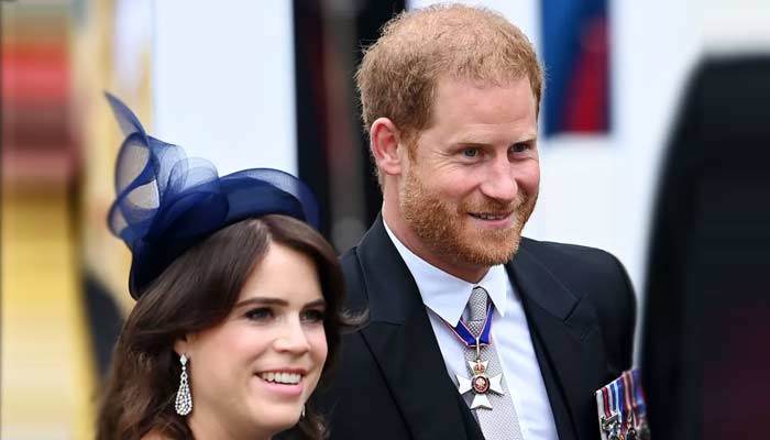 Prince Harry erupts in anger after beloved Princess shocking blunder