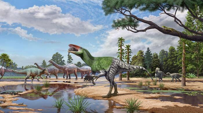 Isle of Wight fossil sheds light on enigmatic meat-eating dinosaurs