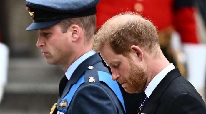 Prince William, Prince Harry 'back to square one' after shocking verdict