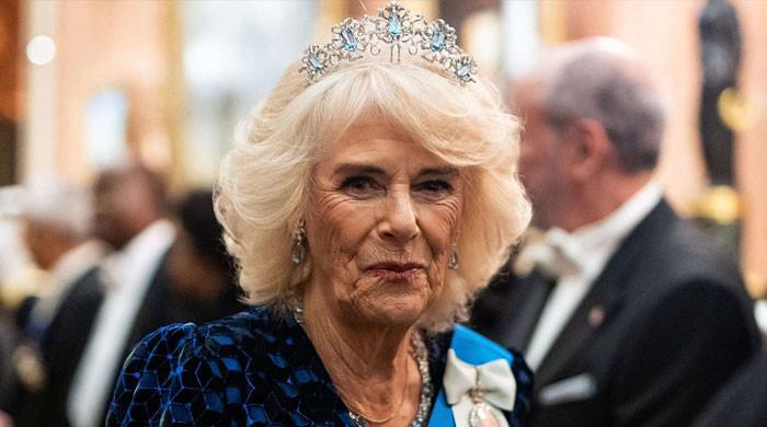 Queen Camilla makes proposal for unity as Harry-William talks ‘in works'