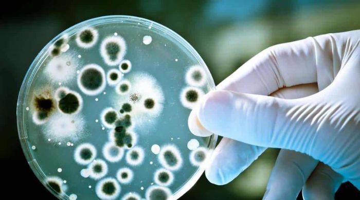 12 infections linked to 12% of new cancer cases worldwide: Here's list