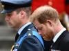 Prince William, Prince Harry 'back to square one' after shocking verdict