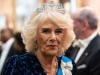 Queen Camilla makes proposal for unity as Harry-William talks ‘in works'