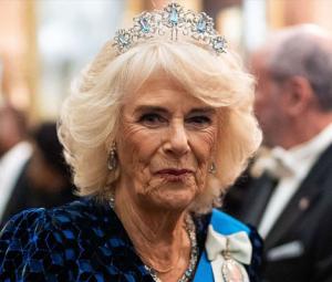 Queen Camilla makes proposal for unity as Harry-William talks ‘in works'