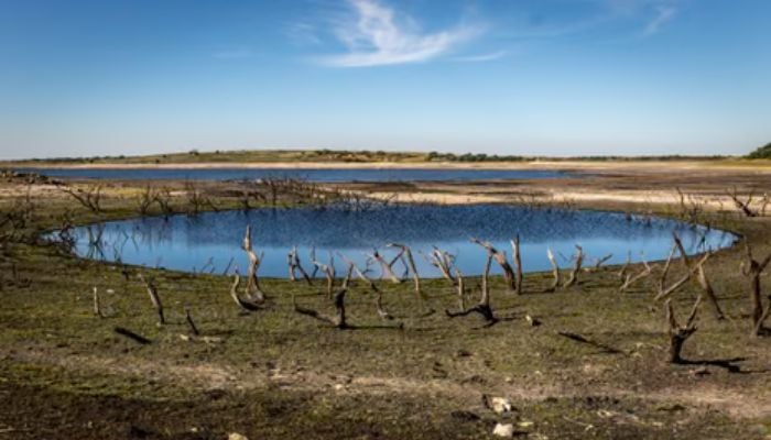 Severe drought declared across Southern England as reservoirs hit critically low levels