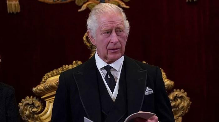 Buckingham Palace releases statement after alarming plan exposed