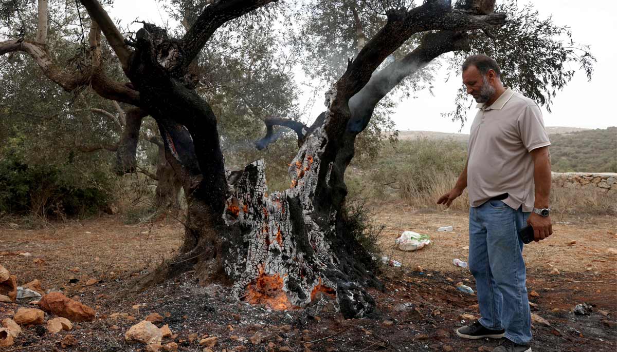 A Palestinian man stands next to a smouldering olive tree reportedly set alight along with a vehicle by Israeli settlers, near the village of Turmus Ayya, north of the city of Ramallah, in the Israeli-occupied West Bank on October 16, 2026.— AFP