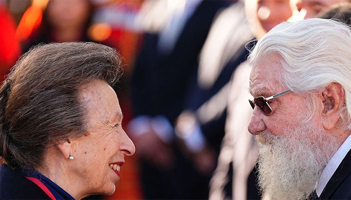 Princess Anne shares smile with 100-year-old veteran in touching royal moment